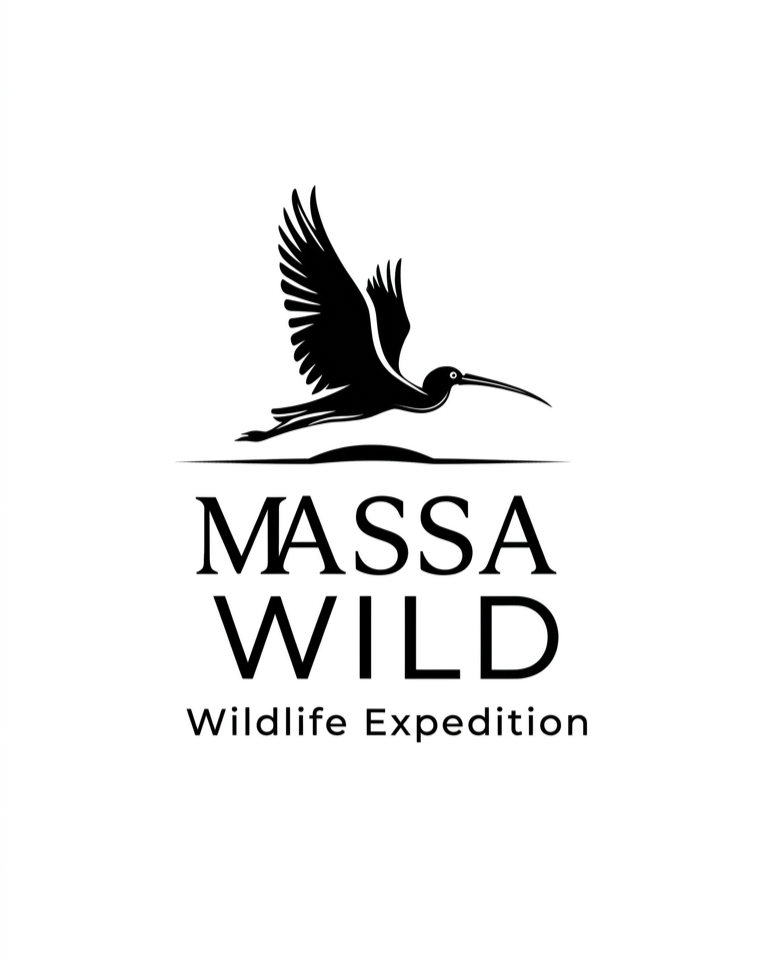 Massa Wild