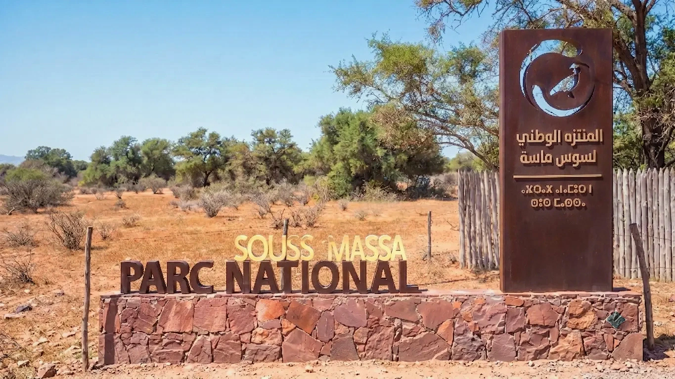 Souss-Massa Birdwatching Day
